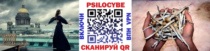 mega ССЫЛКА  Кушва  Галлюциногенные грибы Psilocybine cubensis 