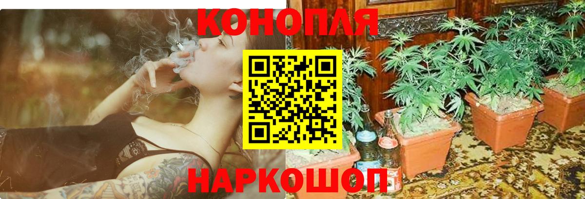 Каннабис White Widow Кушва